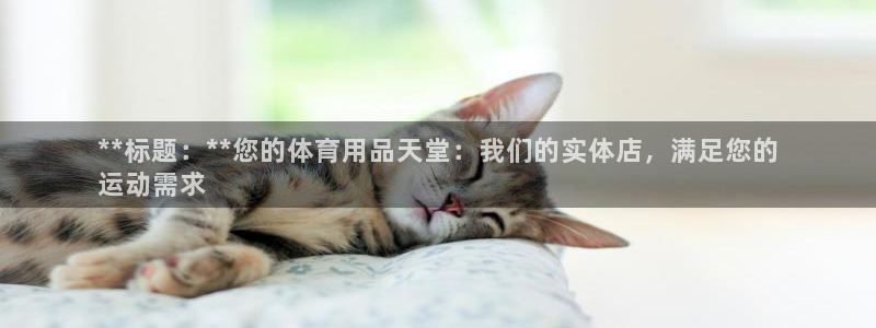 欧陆论坛：**标题：**您的体育用品天堂：我们的实体店，满足