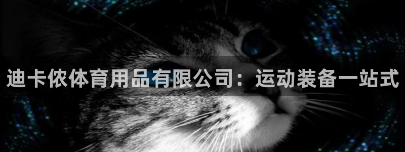 欧陆娱乐平台登陆地址在哪看：迪卡侬体育用品有限公司：