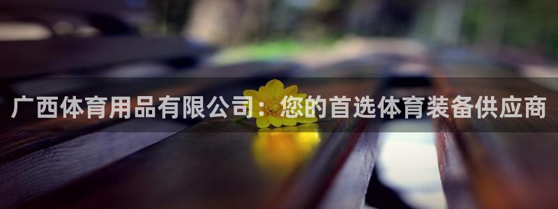 欧陆娱乐平台总代理：广西体育用品有限公司：您的首选体