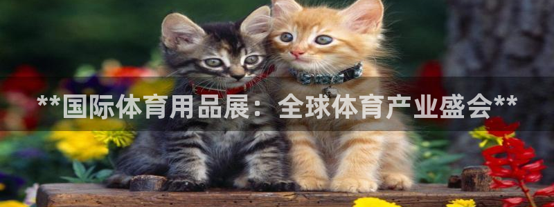 欧陆娱乐注册芯7o777ts=0：**国际体育用品展