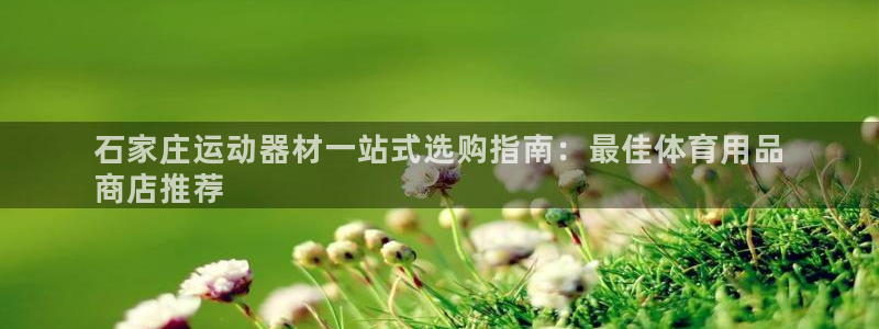 欧陆娱乐测速网站：石家庄运动器材一站式选购指南：最佳