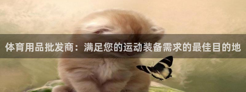 欧陆娱乐登录官网入口：体育用品批发商：满足您的运动装