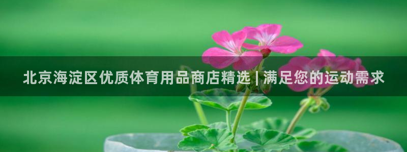 欧陆娱乐登录测速：北京海淀区优质体育用品商店精选 |