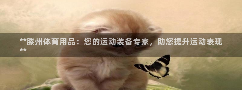 欧陆娱乐怎么注册帐号啊：**滕州体育用品：您的运动装