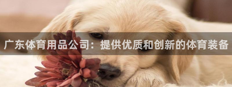 欧陆是什么平台：广东体育用品公司：提供优质和创新的体