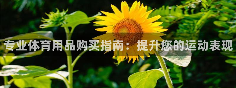 欧陆娱乐注册平台：专业体育用品购买指南：提升您的运动