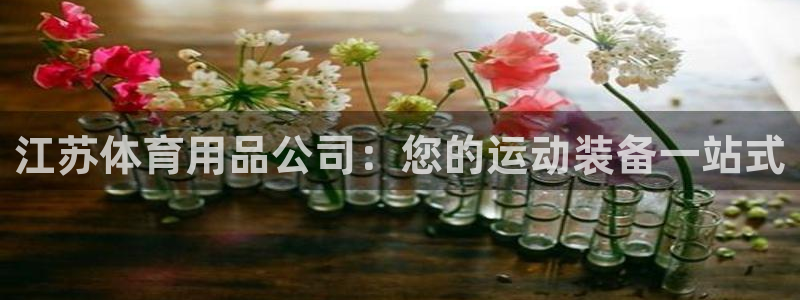 欧陆娱乐登陆官网下载：江苏体育用品公司：您的运动装备