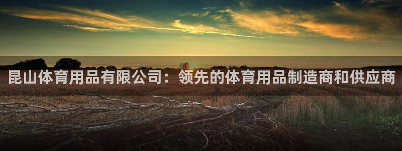 欧陆娱乐微信众：昆山体育用品有限公司：领先的体育用品