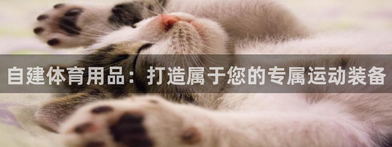 欧陆娱乐安全?：自建体育用品：打造属于您的专属运动装备