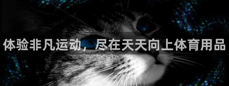 欧陆娱乐能赚钱吗知乎：体验非凡运动，尽在天天向上体育用品