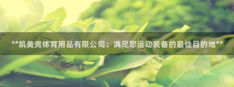 欧陆娱乐里面怎么看打排五