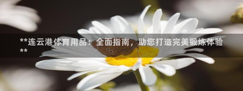 欧陆娱乐有限公司官网：**连云港体育用品：全面指南，