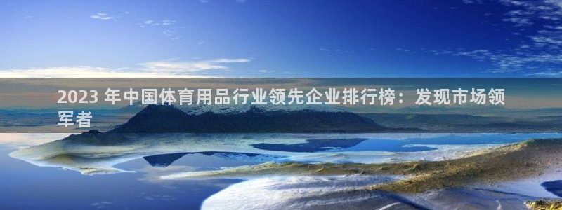 欧陆娱乐平台官网入口：2023 年中国体育用品行业领