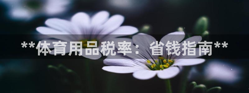欧陆娱乐总代：**体育用品税率：省钱指南**