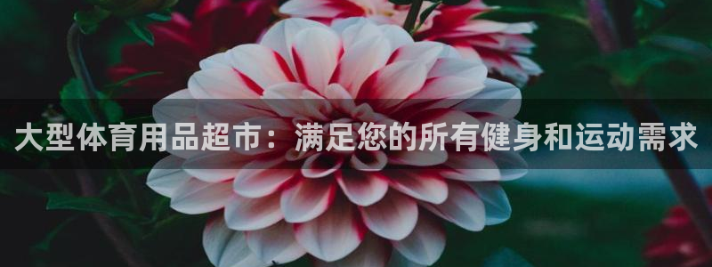 欧陆娱乐官网下载安装最新版苹果：大型体育用品超市：满