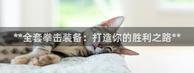 欧陆娱乐怎么注册账号：**全套拳击装备：打造你的胜利