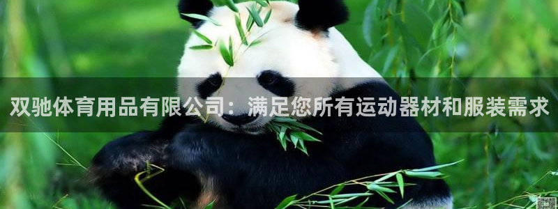欧陆娱乐登录测速：双驰体育用品有限公司：满足您所有运