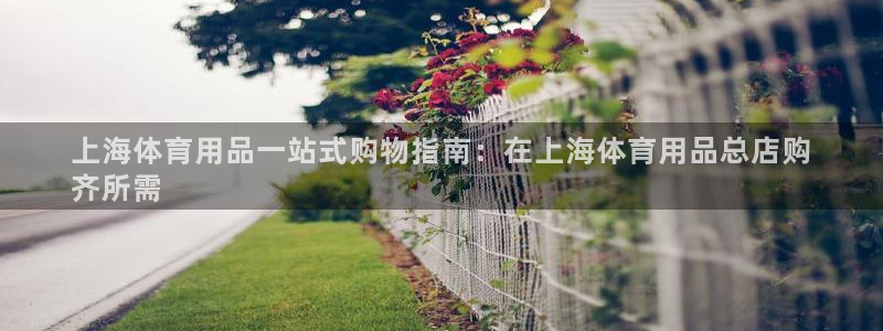 欧陆娱乐平台登录不上去怎么回事：上海体育用品一站式购