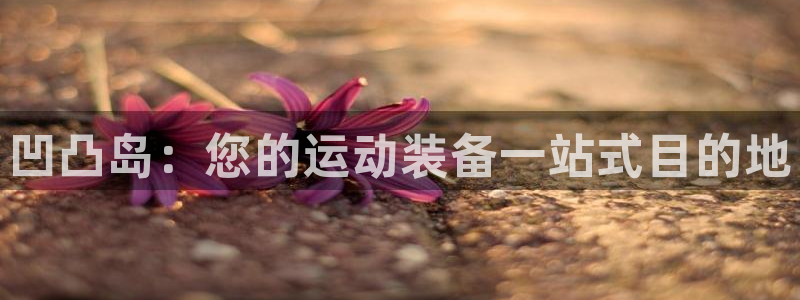 欧陆娱乐登录注册平台有哪些：凹凸岛：您的运动装备一站