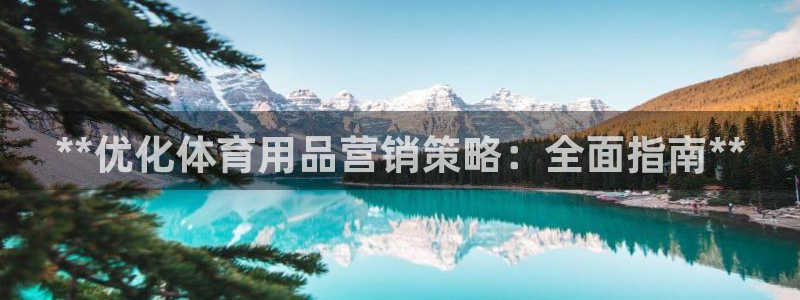 欧陆娱乐平台登陆地址在哪改：**优化体育用品营销策略