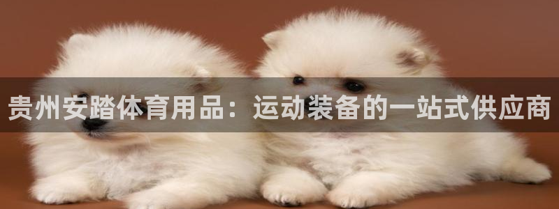 欧陆娱乐怎么注册会员的：贵州安踏体育用品：运动装备的