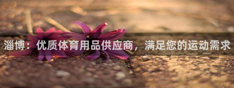欧陆娱乐登录平台有哪些：淄博：优质体育用品供应商，满