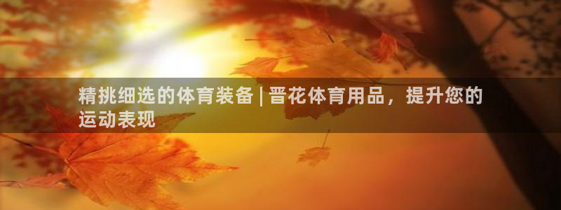 欧陆娱乐总代理电话：精挑细选的体育装备 | 晋花体育