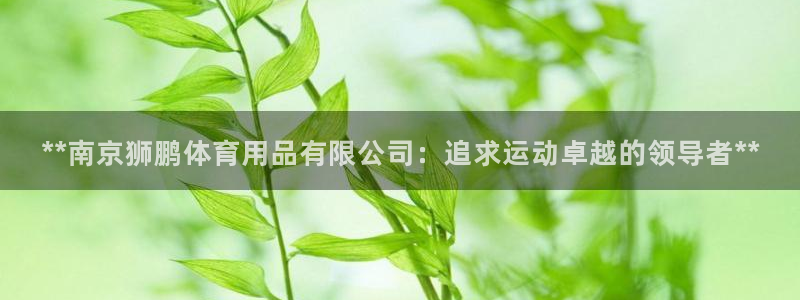 欧陆娱乐怎么注册会员账号啊：**南京狮鹏体育用品有限