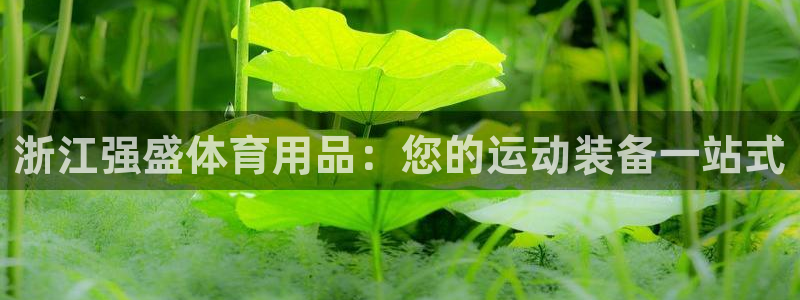 欧陆娱乐线路测速：浙江强盛体育用品：您的运动装备一站
