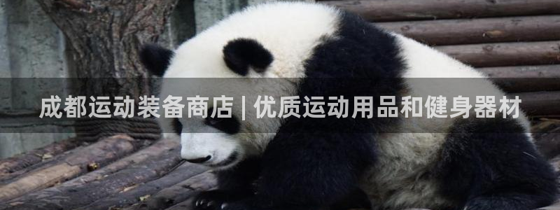 欧陆娱乐讲7O777：成都运动装备商店 | 优质运动用品和健
