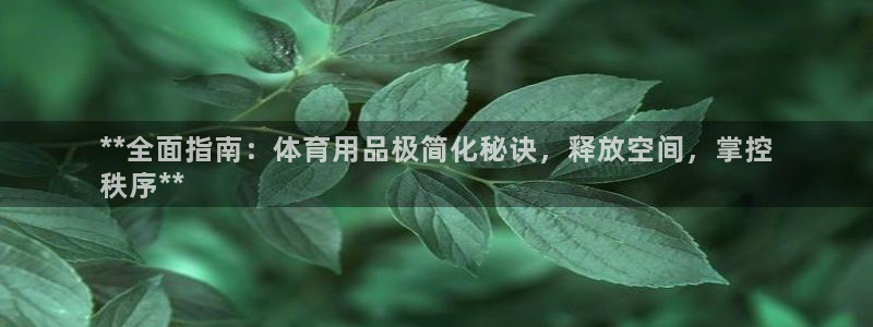 欧陆娱乐官方网站首页：**全面指南：体育用品极简化秘