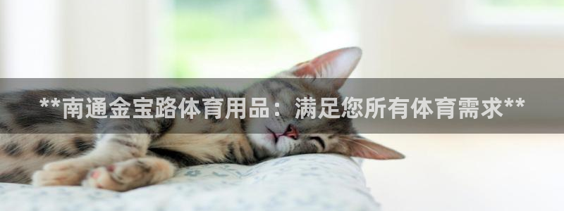 欧陆娱乐注册代理多少钱一年：**南通金宝路体育用品：