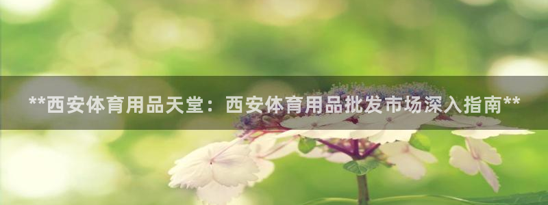 欧陆娱乐平台登陆地址在哪：**西安体育用品天堂：西安