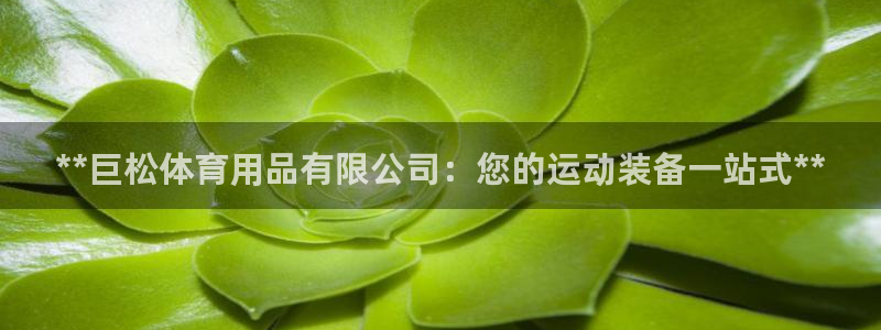 欧陆娱乐招商主管：**巨松体育用品有限公司：您的运动