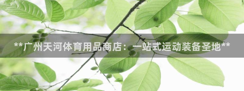 欧陆娱乐微信：**广州天河体育用品商店：一站式运动装