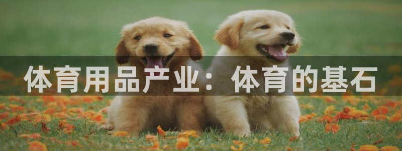 欧陆娱乐计划预测软件哪个好：体育用品产业：体育的基石
