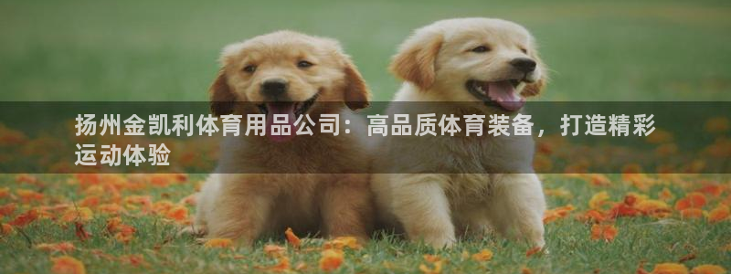 欧陆娱乐推广奖金多少：扬州金凯利体育用品公司：高品质体育装备