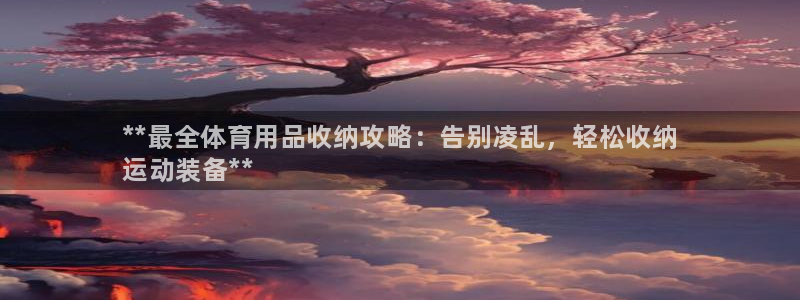 欧陆娱乐官方网站下载：**最全体育用品收纳攻略：告别
