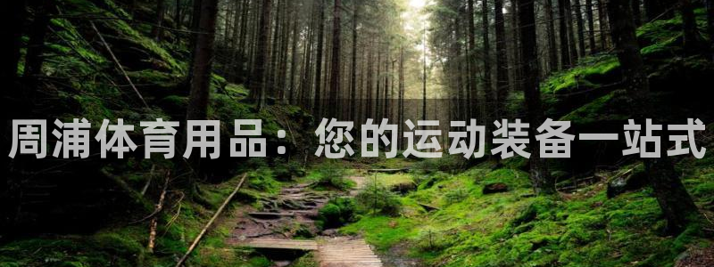 欧陆娱乐怎么注册会员号：周浦体育用品：您的运动装备一