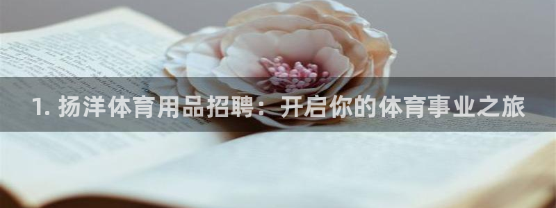 欧陆娱乐官方：1. 扬洋体育用品招聘：开启你的体育事