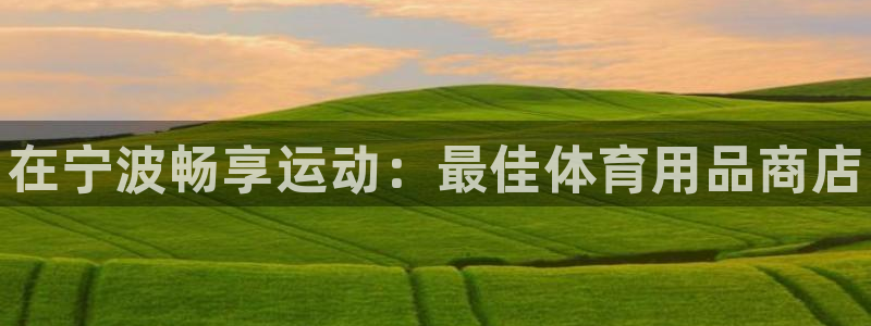 欧陆娱乐计划预测软件有哪些：在宁波畅享运动：最佳体育用品商店