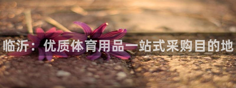欧陆娱乐是真的吗：临沂：优质体育用品一站式采购目的地