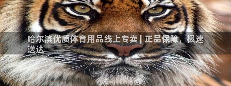 欧陆娱乐怎么注册会员账号：哈尔滨优质体育用品线上专卖