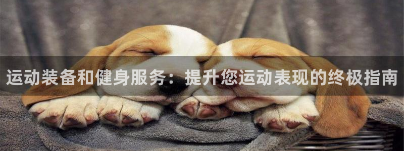 欧陆娱乐脚本下载：运动装备和健身服务：提升您运动表现