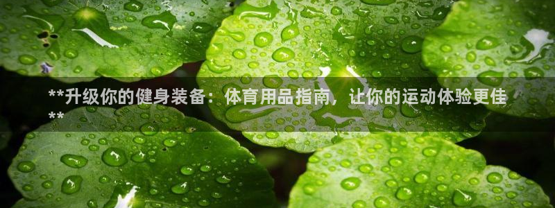 欧陆娱乐平台登录：**升级你的健身装备：体育用品指南