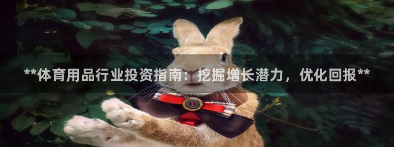 欧陆娱乐官方下载安装：**体育用品行业投资指南：挖掘增长潜力