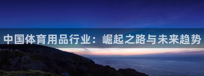 欧陆娱乐app攻略大全：中国体育用品行业：崛起之路与未来趋势