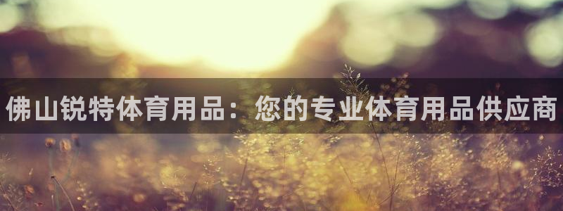 欧陆娱乐登录注册平台下载：佛山锐特体育用品：您的专业