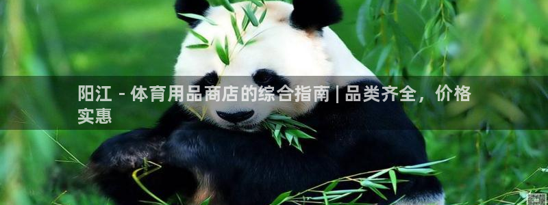 欧陆娱乐太阳：阳江 - 体育用品商店的综合指南 | 