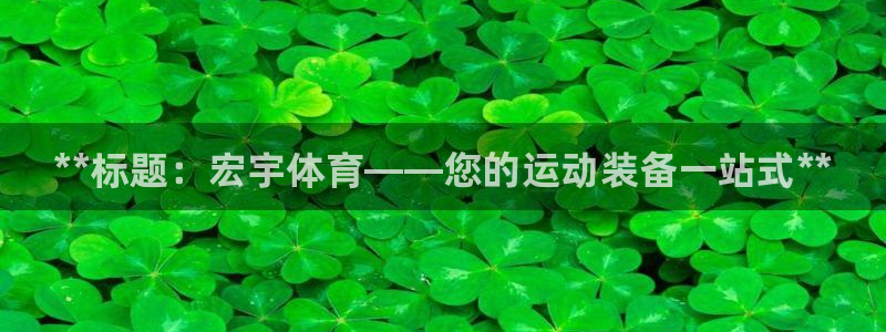 欧陆娱乐测速网站：**标题：宏宇体育——您的运动装备